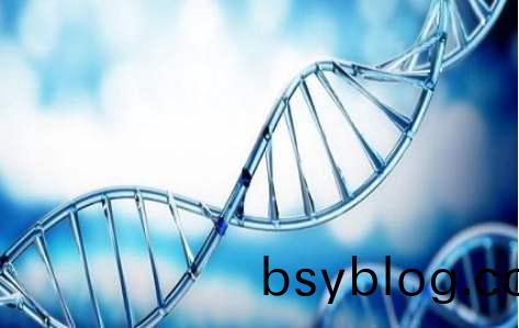 百傲2019再(zai)穫(huo)三(san)證，進(jin)入(ru)DNA免提(ti)時代